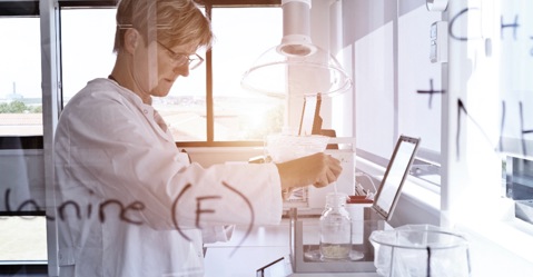 建立有机奶粉品类的领导地位