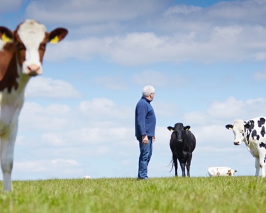 我们是有机的专家