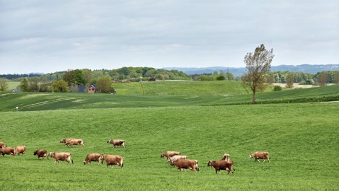 天生有机，源自北欧纯净天地